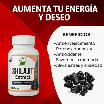 Recupera tu vitalidad natural con Shilajit: potente y natural